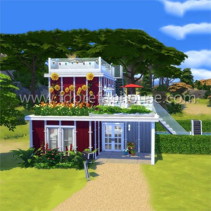 Container House Grand Designs
